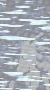 Organik desenli yüzey giriş stili video film sanatı ile soyut arkaplan tasarımı