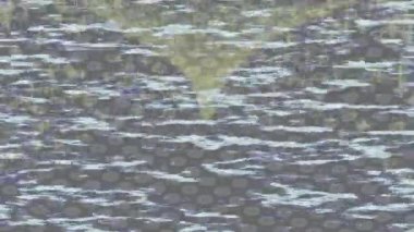 Profesyonel video projeleri sanat tarzı için organik hareketli arkaplan tasarımı