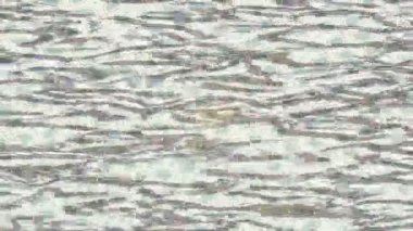 Dijital doku yüzey tasarım biçimi ile modern video animasyonu için gelişmiş hareket grafikleri