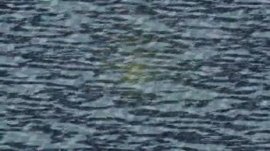 Lüks hareket projeleri için soyut tasarım stili animasyonu olan üst düzey dijital doku