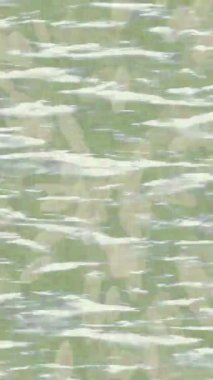 Benzersiz video giriş tasarımı projeleri için detaylı yüzey kalıbı film animasyon stili grafik girişi