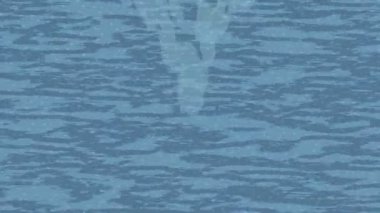 Lüks hareket tasarımı üst düzey video projeleri ve dijital sanat için zarif, pürüzsüz bir dokusu var.