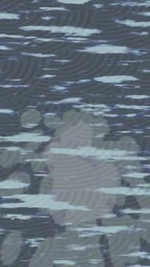 Yaratıcı video düzenleme film arkaplan tasarımı için minimalist organik hareket grafikleri