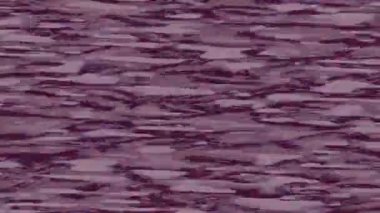 Yaratıcı video düzenleme film tasarımı için benzersiz hareket grafikleri biçimi giriş hareketi video pro