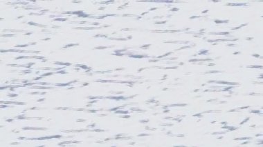 Lüks hareket tasarımı üst düzey video projeleri ve dijital sanat için zarif, pürüzsüz bir dokusu var.