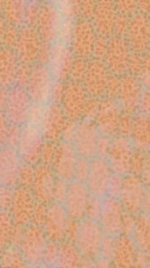 Organik desenli yüzey giriş stili video film sanatı ile soyut arkaplan tasarımı