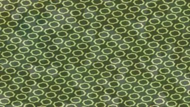 Organik desenli yüzey giriş stili video film sanatı ile soyut arkaplan tasarımı