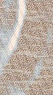 Benzersiz video giriş tasarımı projeleri için detaylı yüzey kalıbı film animasyon stili grafik girişi