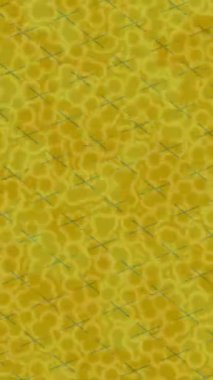 Benzersiz dijital hareket grafiklerine sahip yaratıcı sinematik projeler için yumuşak animasyon yüzeyi