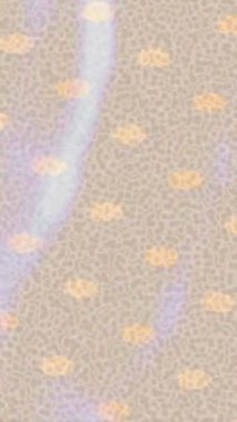 Yaratıcı video düzenleme film tasarımı için benzersiz hareket grafikleri biçimi giriş hareketi video pro