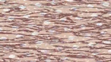 Yaratıcı video düzenleme film tasarımı için benzersiz hareket grafikleri biçimi giriş hareketi video pro