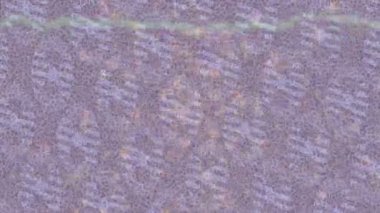 Benzersiz dijital animasyon tarzı grafikleri olan yaratıcı ortam tasarımı için yenilikçi hareket dokusu