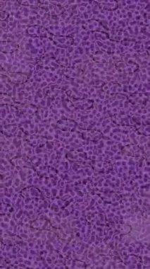 Estetik doku arkaplan tasarımı renkli hareket grafikleri ile moda film giriş profosyoneli