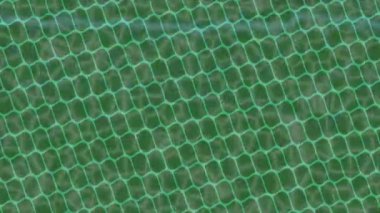 Lüks hareket projeleri için soyut tasarım stili animasyonu olan üst düzey dijital doku