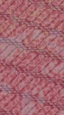 Yaratıcı video düzenleme film arkaplan tasarımı için minimalist organik hareket grafikleri