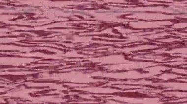 Estetik doku arkaplan tasarımı renkli hareket grafikleri ile moda film giriş profosyoneli