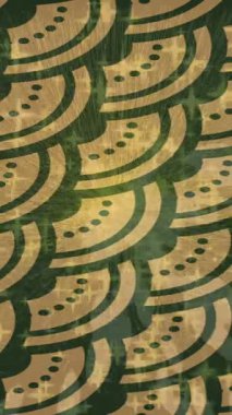 Organik desenli yüzey giriş stili video film sanatı ile soyut arkaplan tasarımı