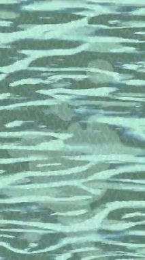 Organik desenli yüzey giriş stili video film sanatı ile soyut arkaplan tasarımı