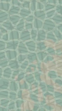 Yaratıcı video düzenleme film arkaplan tasarımı için minimalist organik hareket grafikleri