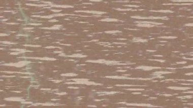 Lüks hareket projeleri için soyut tasarım stili animasyonu olan üst düzey dijital doku