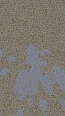 Lüks hareket tasarımı üst düzey video projeleri ve dijital sanat için zarif, pürüzsüz bir dokusu var.