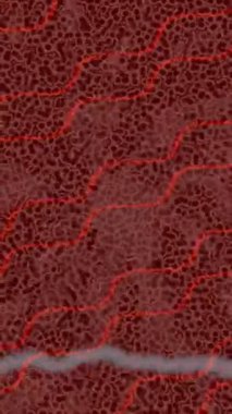 Yaratıcı video düzenleme film arkaplan tasarımı için minimalist organik hareket grafikleri