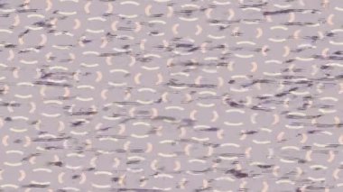 Lüks hareket tasarımı üst düzey video projeleri ve dijital sanat için zarif, pürüzsüz bir dokusu var.