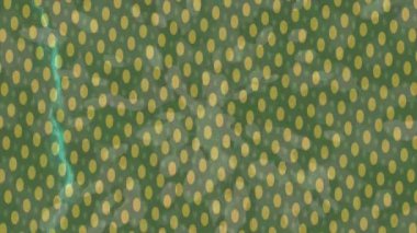 Benzersiz dijital animasyon tarzı grafikleri olan yaratıcı ortam tasarımı için yenilikçi hareket dokusu