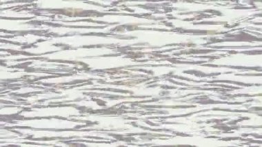 Lüks hareket tasarımı üst düzey video projeleri ve dijital sanat için zarif, pürüzsüz bir dokusu var.