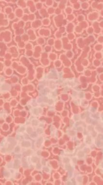 Benzersiz hareket dokusu tasarım sanatı ile profesyonel video düzenleme için modern soyut grafikler