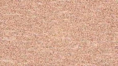 Benzersiz dijital animasyon tarzı grafikleri olan yaratıcı ortam tasarımı için yenilikçi hareket dokusu