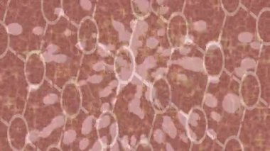 Profesyonel video projeleri sanat tarzı için organik hareketli arkaplan tasarımı