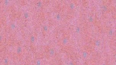 Organik desenli yüzey giriş stili video film sanatı ile soyut arkaplan tasarımı