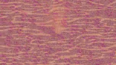 Modern medya üretimi için fütüristik dijital soyut doku sinematik tarz hareketli grafik ögesi