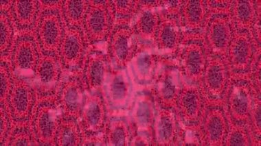 Soyut hareket desenli fütüristik video üretimi için dinamik dijital arkaplan