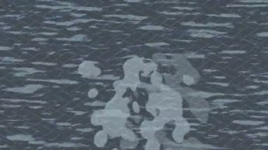 Benzersiz dijital hareket grafiklerine sahip yaratıcı sinematik projeler için yumuşak animasyon yüzeyi