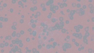 Profesyonel video projeleri sanat tarzı için organik hareketli arkaplan tasarımı