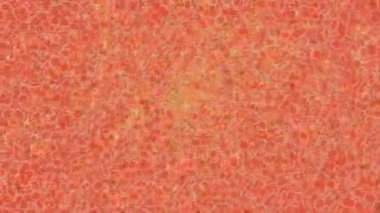 Yaratıcı video düzenleme film tasarımı için benzersiz hareket grafikleri biçimi giriş hareketi video pro