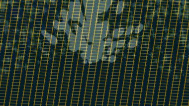 Organik desenli yüzey giriş stili video film sanatı ile soyut arkaplan tasarımı