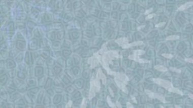 Yaratıcı video düzenleme film tasarımı için benzersiz hareket grafikleri biçimi giriş hareketi video pro