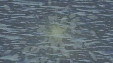 Lüks hareket tasarımı üst düzey video projeleri ve dijital sanat için zarif, pürüzsüz bir dokusu var.