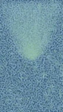 Profesyonel video projeleri sanat tarzı için organik hareketli arkaplan tasarımı