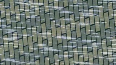 Dijital doku yüzey tasarım biçimi ile modern video animasyonu için gelişmiş hareket grafikleri