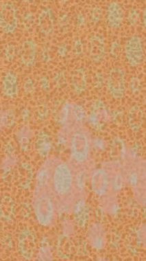 Profesyonel video projeleri sanat tarzı için organik hareketli arkaplan tasarımı