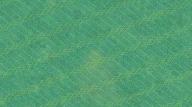 Benzersiz dijital animasyon tarzı grafikleri olan yaratıcı ortam tasarımı için yenilikçi hareket dokusu