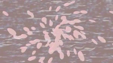 Lüks hareket tasarımı üst düzey video projeleri ve dijital sanat için zarif, pürüzsüz bir dokusu var.