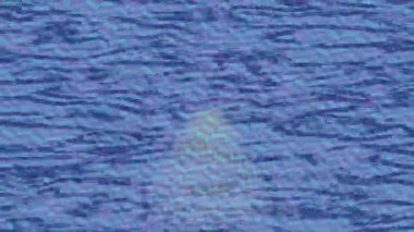 Benzersiz dijital animasyon tarzı grafikleri olan yaratıcı ortam tasarımı için yenilikçi hareket dokusu