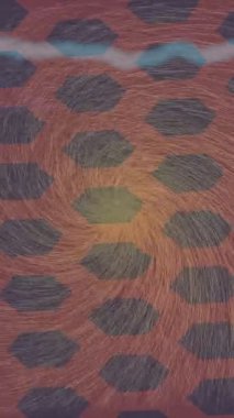 Yaratıcı video düzenleme film arkaplan tasarımı için minimalist organik hareket grafikleri