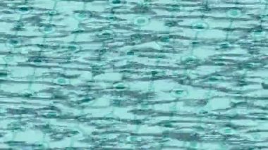 Lüks hareket projeleri için soyut tasarım stili animasyonu olan üst düzey dijital doku