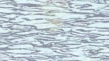 Benzersiz hareket dokusu tasarım sanatı ile profesyonel video düzenleme için modern soyut grafikler